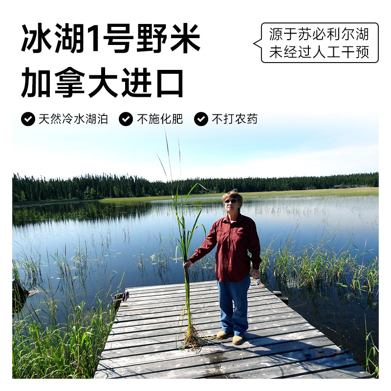 旗舰店加拿大1号野米适合2026年消费升级吗？