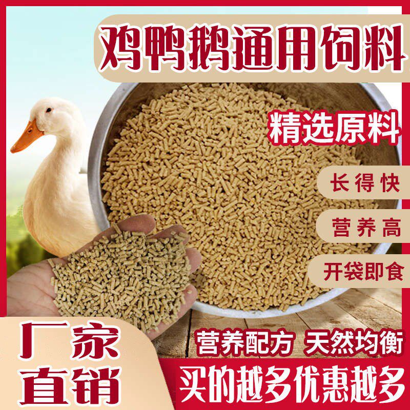 Chicken feed pellets big duck swan bird pigeon mountain wild chick grain peacock feed pre-mixed egg meat positive