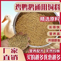 Chicken feed pellets big duck swan bird pigeon mountain wild chick grain peacock feed pre-mixed egg meat positive