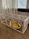Transparent Dog Fence Acrylic Dog House Pet Fence Indoor Isolation Small Dog Cage Home Balcony Fence