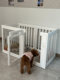 Transparent Dog Fence Acrylic Dog House Pet Fence Indoor Isolation Small Dog Cage Home Balcony Fence