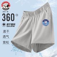 Авиационные набийские серые штаны