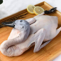 (1150g*2 pieces) Black-billed Shelduck Liancheng White Duck Ecological Black-footed Egret Duck Fresh Frozen Fresh Ingredients
