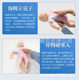 Infant Infarction Model, Infant Airway Obstruction and Cpr Simulator, Pediatric Foreign Body Emergency Training Model