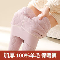 Wool pants womens high-wear autumn pants season thickened bottoms Northeastern extra thick cashmere cotton warm waist winter velvet lambing pants