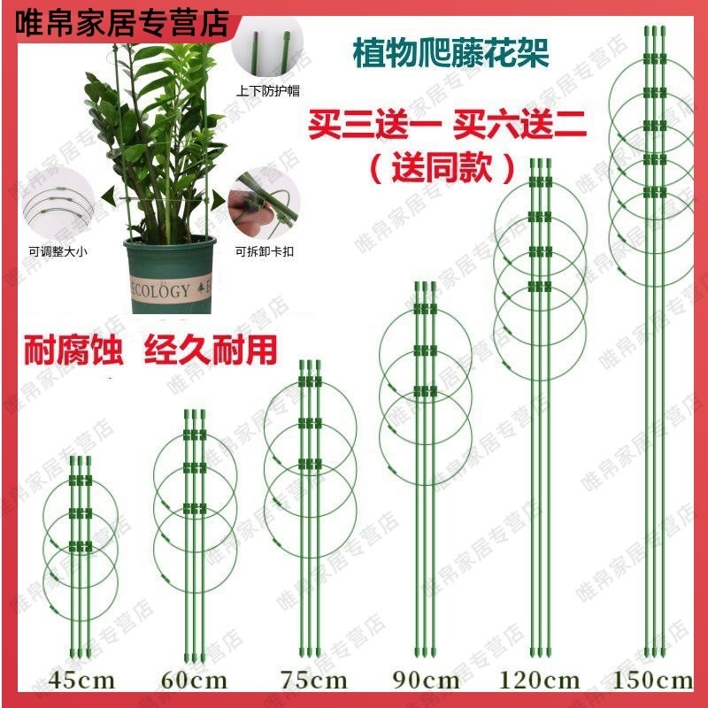 Crab claw orchid bracket fixed frame flower stand to make arrow lotus garden flower potted rose orchid clematis ring
