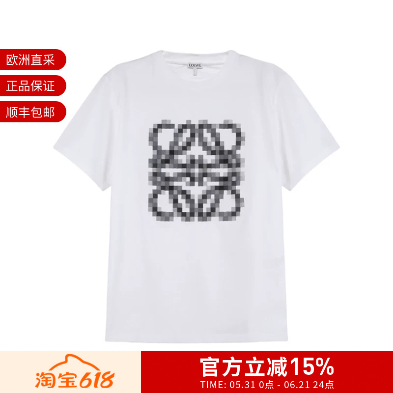Loewe Women's Cotton Large Logo Embroidered Round Neck Short-Sleeved T-Shirt S540Y22X35