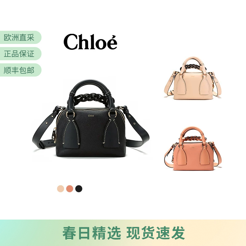 Chloe Women's Daria Series Small Handbag Shoulder Crossbody Bag Chc20Us361C62