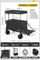 Собрание -Дорога [Драконки] Модель+солнечный свет [черный]