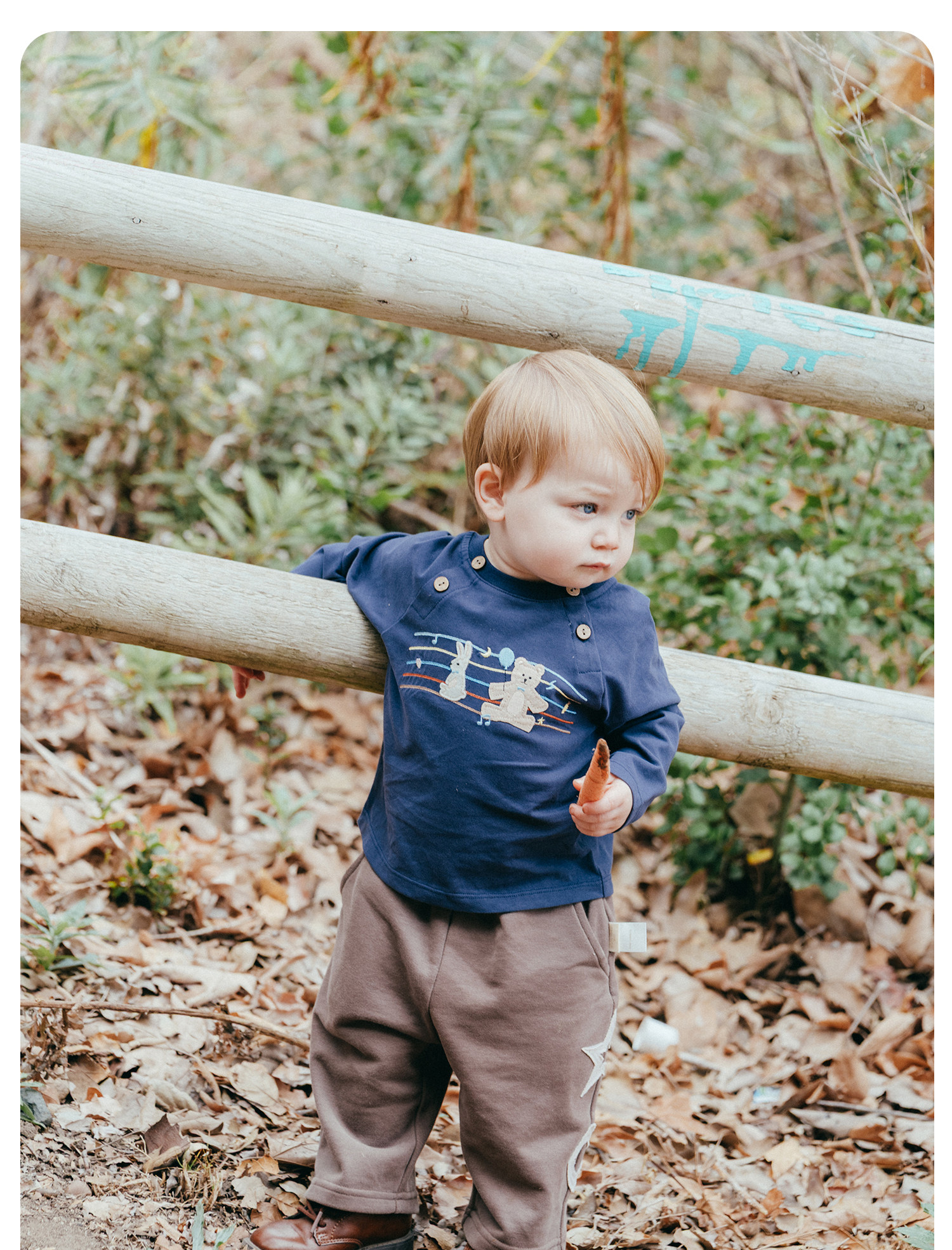 Whitewheat【Soft】Children's 26 Autumn New Long-Sleeved Boys' and Girls' Pure Cotton Embroidered T-Shirt Base Shirt — 5