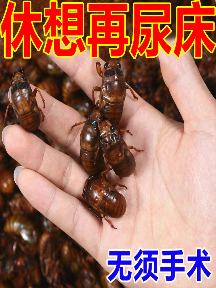 One Sticker of Urine) Pediatric Urology Post Child Urine Frequency Urine Rush Not To Hold Belly Button Anti-Urine Bed God Instrumental LM 