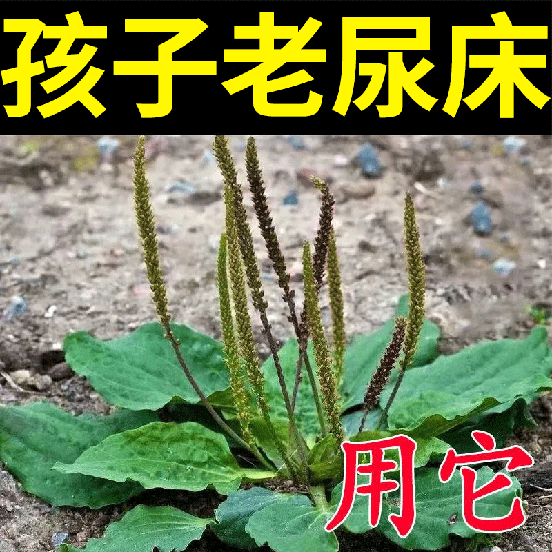 Children's wet - urinated children's wet frequency urine anti - bedwetting artificial instrument stops urinating JN