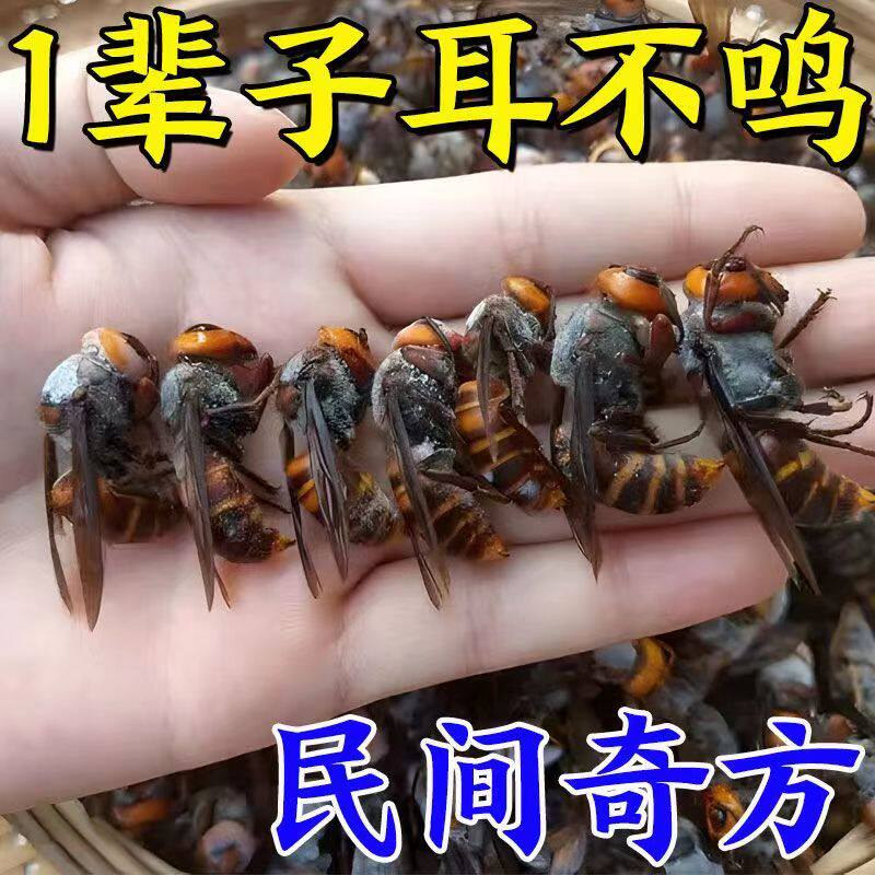 (Stop tinnitus) Tinnitus Tinnitus Tinnitus with neuropathic ear buzzing with hearing loss ear-back special YN 