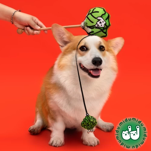 midumidu Оригинальная капуста дразнящая собачья стержень, дразнящая кошачья палочка отбивается назад