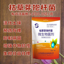 Bacillus Subtilis Bacteria Fertilizer Soil Improvement Organic Pine Soil Fattening Vegetable Fruit Tree Agricultural Microbial Inoculum