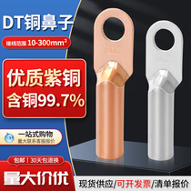 DT copper nose copper tin plated copper wire nose wire ear cable terminal wire terminal wire joint 16 25 35