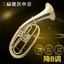 Professional three-flat key euphonium new product special price four-flat key upper bass instrument Bach big horn B flat for beginners