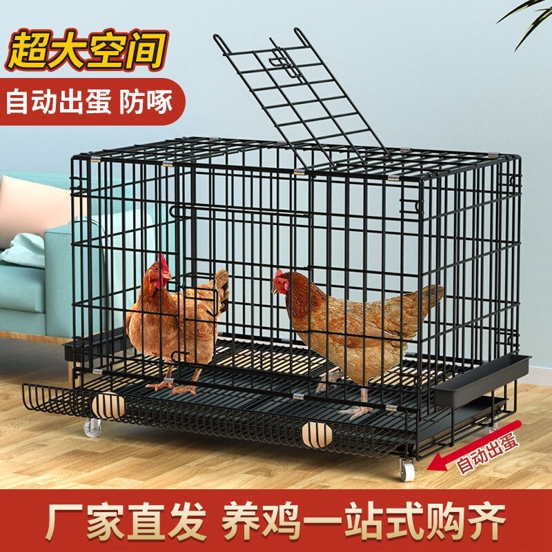 Chicken cage under egg cage household with large breeding cage chicken cage cage cage cage automatically rolling chicken