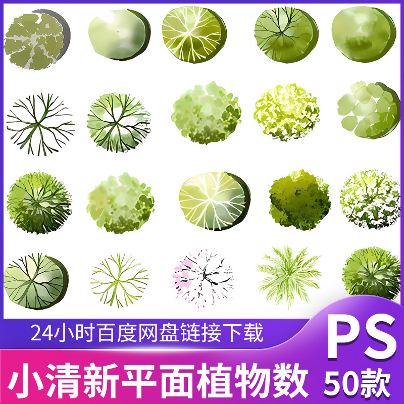 2024ps小清新植物彩平图素材ps竞赛风顶视平面树素材psd分层素材
