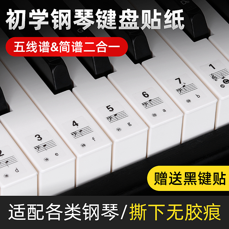 Piano Keyboard Stickers 88/61 Keys Roll-Up Piano Electronic Keyboard Digital Sheet Music Notation Stickers
