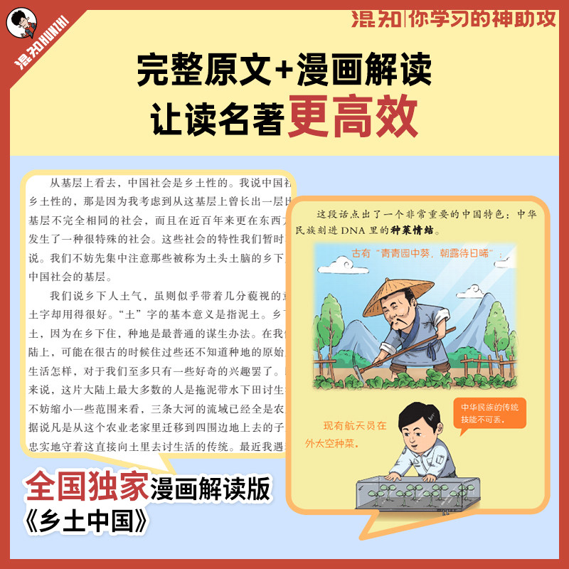 【混知官方】混知漫画助攻版《乡土中国》解析:以漫画形式解读书籍内涵-漫画书籍-淘宝百科网