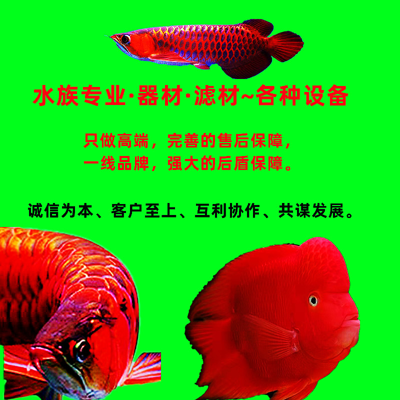 创宁水族品牌店的LOGO