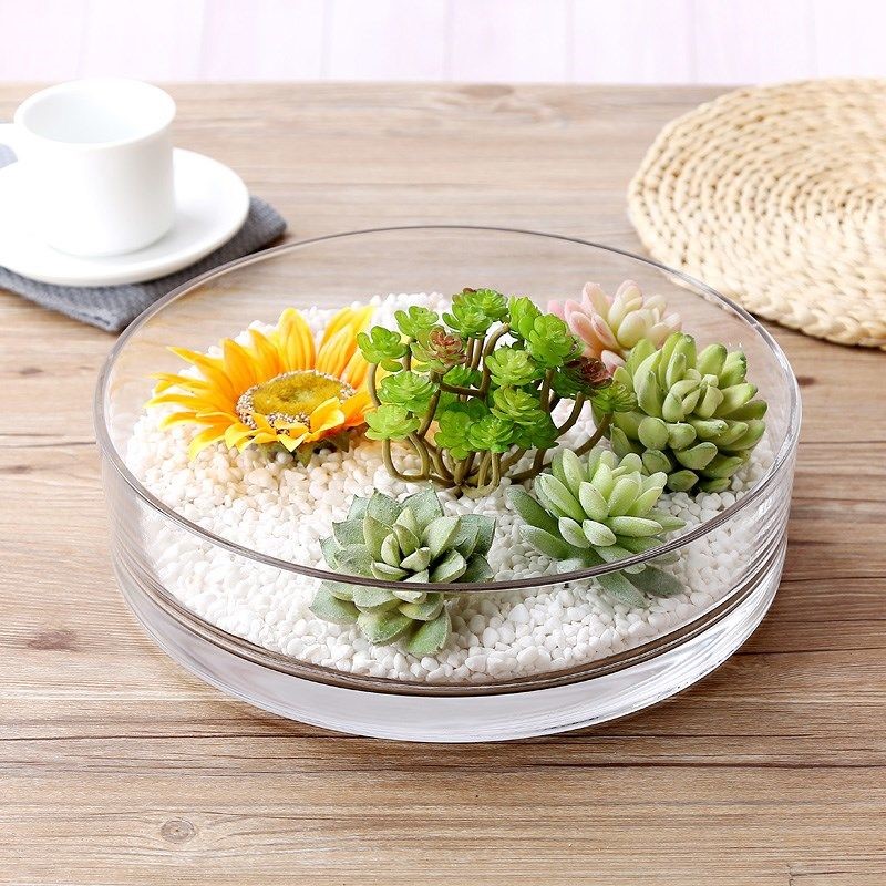 Tulip perfume cultivation container thickened round glass flower pot lotus water lily copper money grass vase low glass cylinder