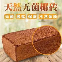 Coconut Brick Nutrient Soil Universal Coconut Soil Coconut Chaff Coarse Coconut shell Flowers Breed vegetable Vegetable Clear Barn Planted large chunks of yea