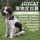 JoyCat Xiaoben pet locator GPS Bluetooth анти-потерянное устройство для отслеживания кошек и собак, ошейник для отслеживания, анти-потерянный mini 0