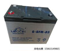 LEOCH理士蓄电池 6-GFM-85中力合力诺力叉车 12V85AH电动叉车电池