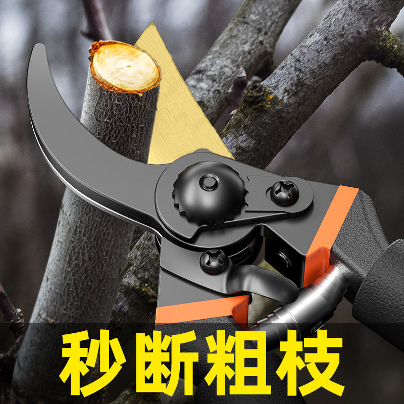 Gardening pruning shears pruning shears fruit tree stainless steel garden flower scissors tool pruning branch scissors flower shears