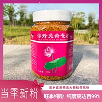 Defengyuan Lotus Powder Boutique Natural Pure Lotus Powder Selected Large Particles Bee Pollen No Additives for Food