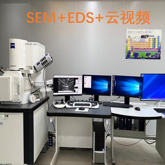 扫描电子显微镜/SEM/EDS/SEM测试/扫描电子显微镜测试