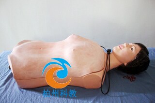 肝脾触诊电动模型模拟人体教学训练培训模具标本演示教具