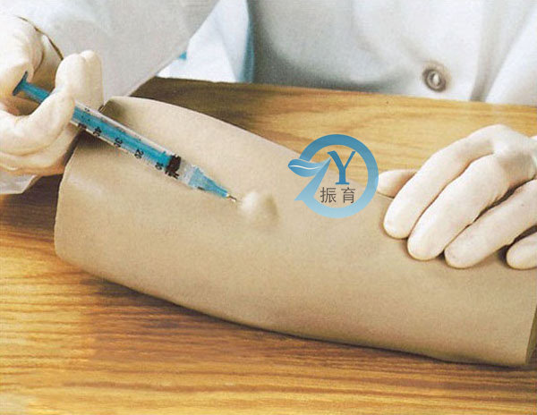 手臂皮内注射模型手部皮试练习训练模具柏乐教学厂家直销原装包邮