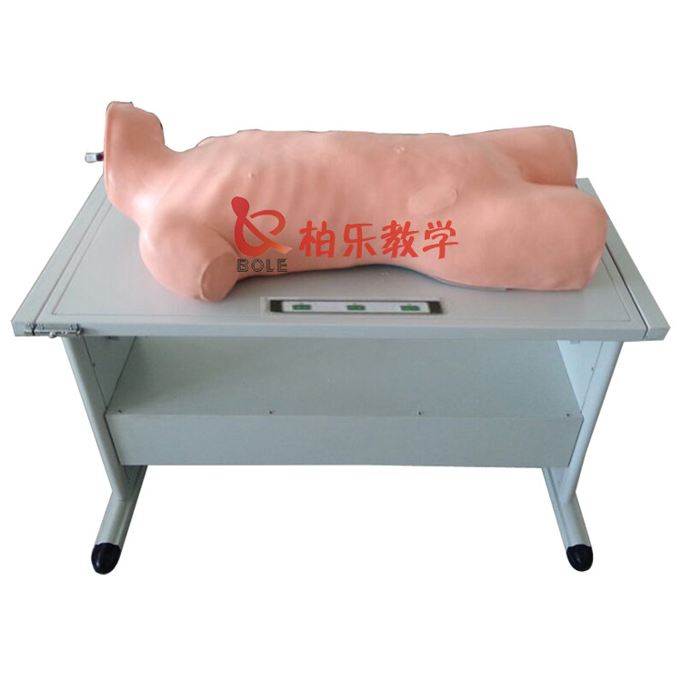 综合穿刺术与叩诊检查技能训练模拟人急救医学模型柏乐教学包邮
