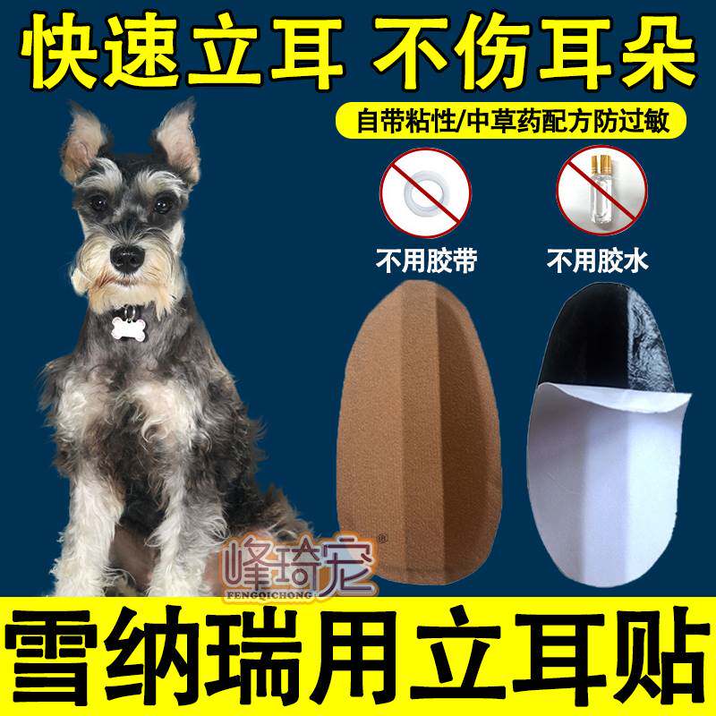 Doberman ear device German shepherd wolf blue corrector ear bead pet dog ear erection training bracket stick glue sticker