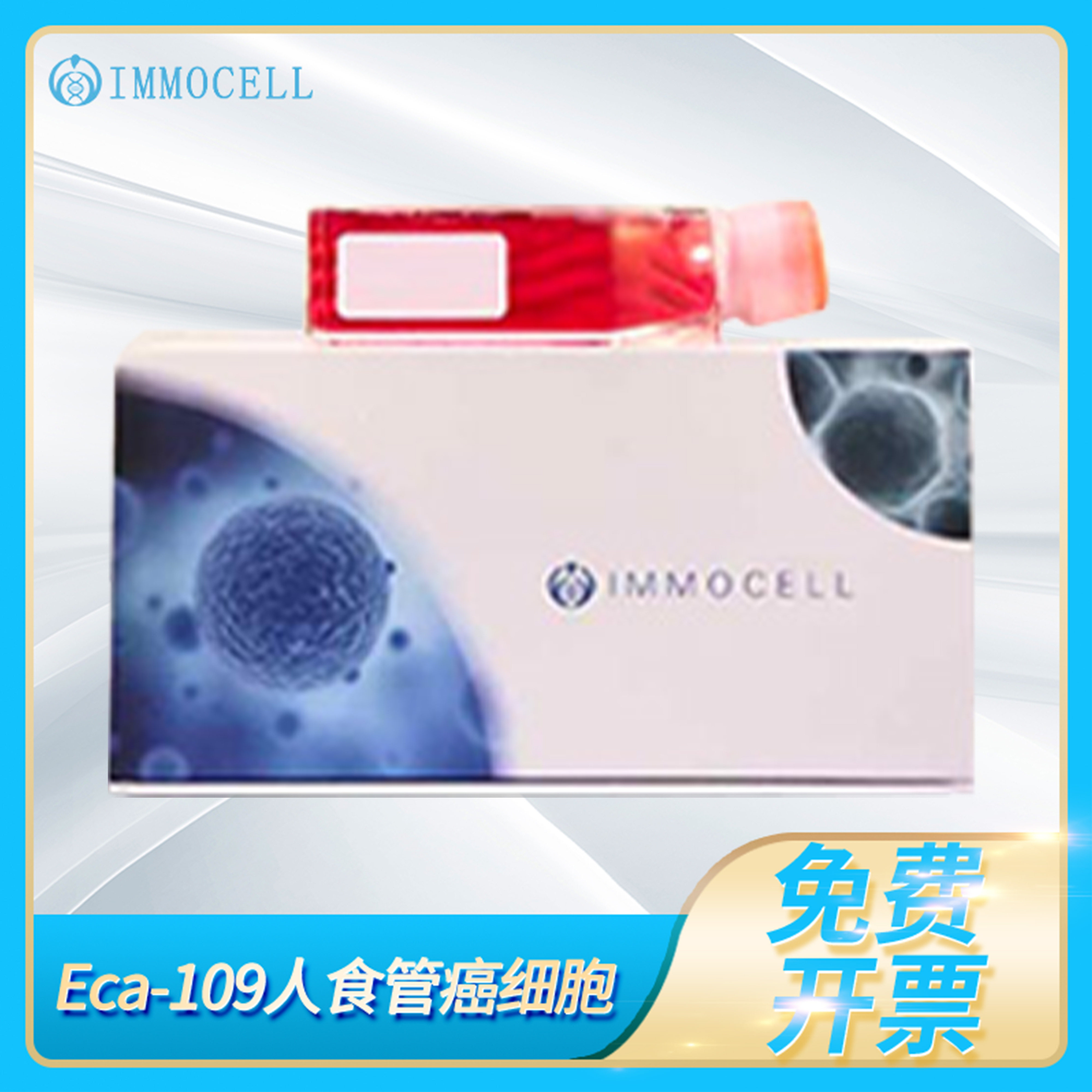 逸漠Eca109 EC109 Eca 109 Eca-109人食管细胞(STR鉴定正确)