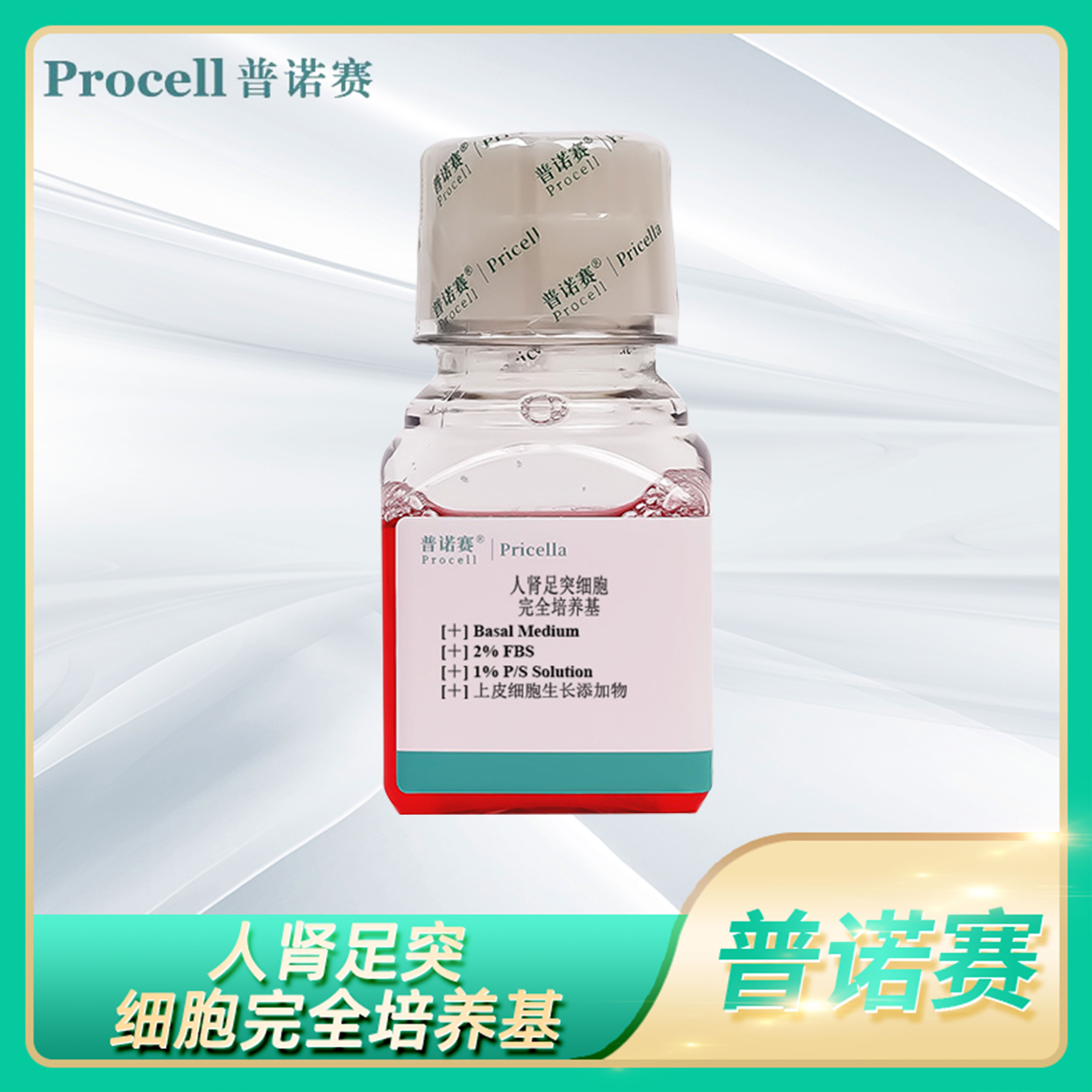 人肾足突细胞完全培养基Human Renal Podocyte Cel细胞体外培养液
