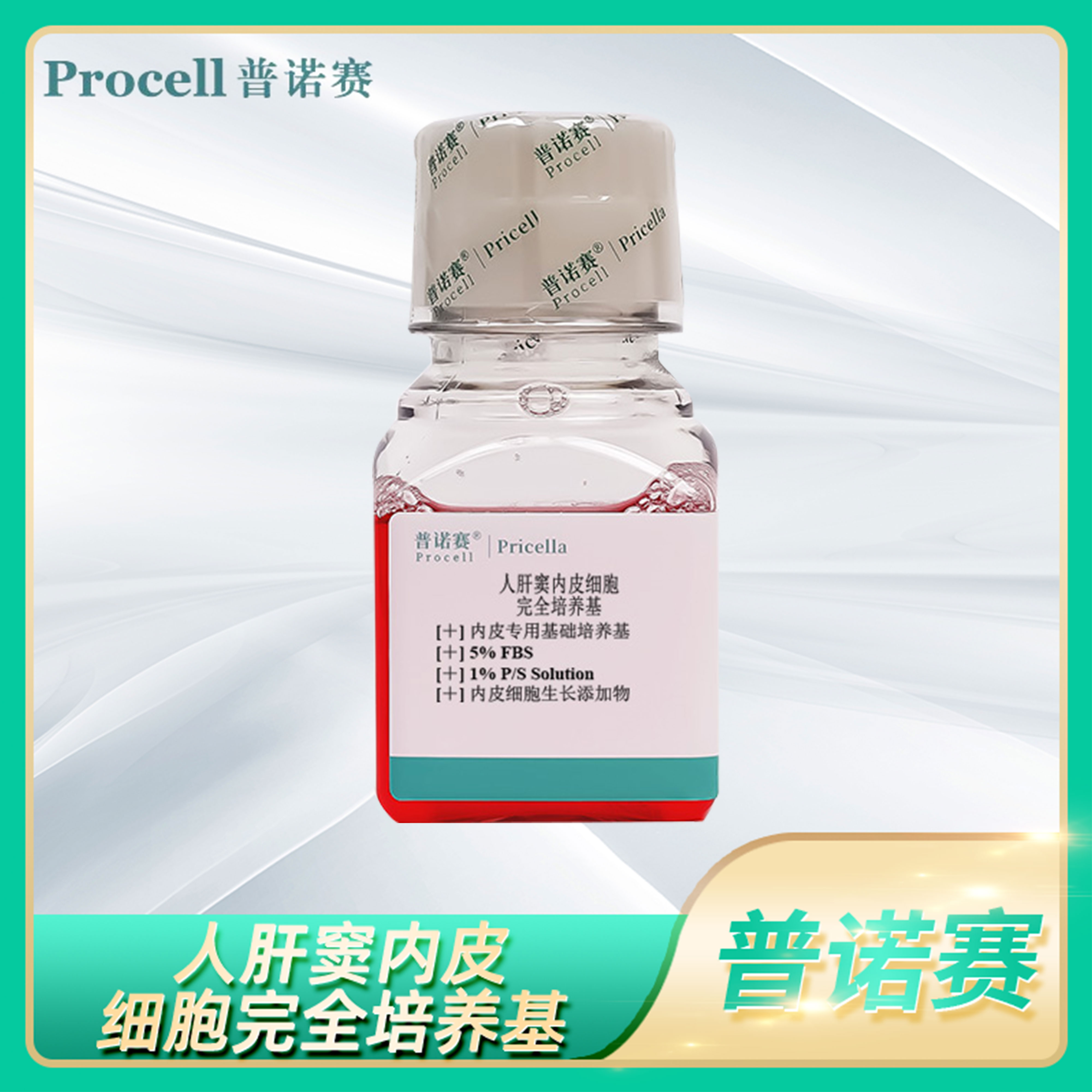 人肝窦内皮细胞完全培养基Liver Sinusoidal Endothelial Cell