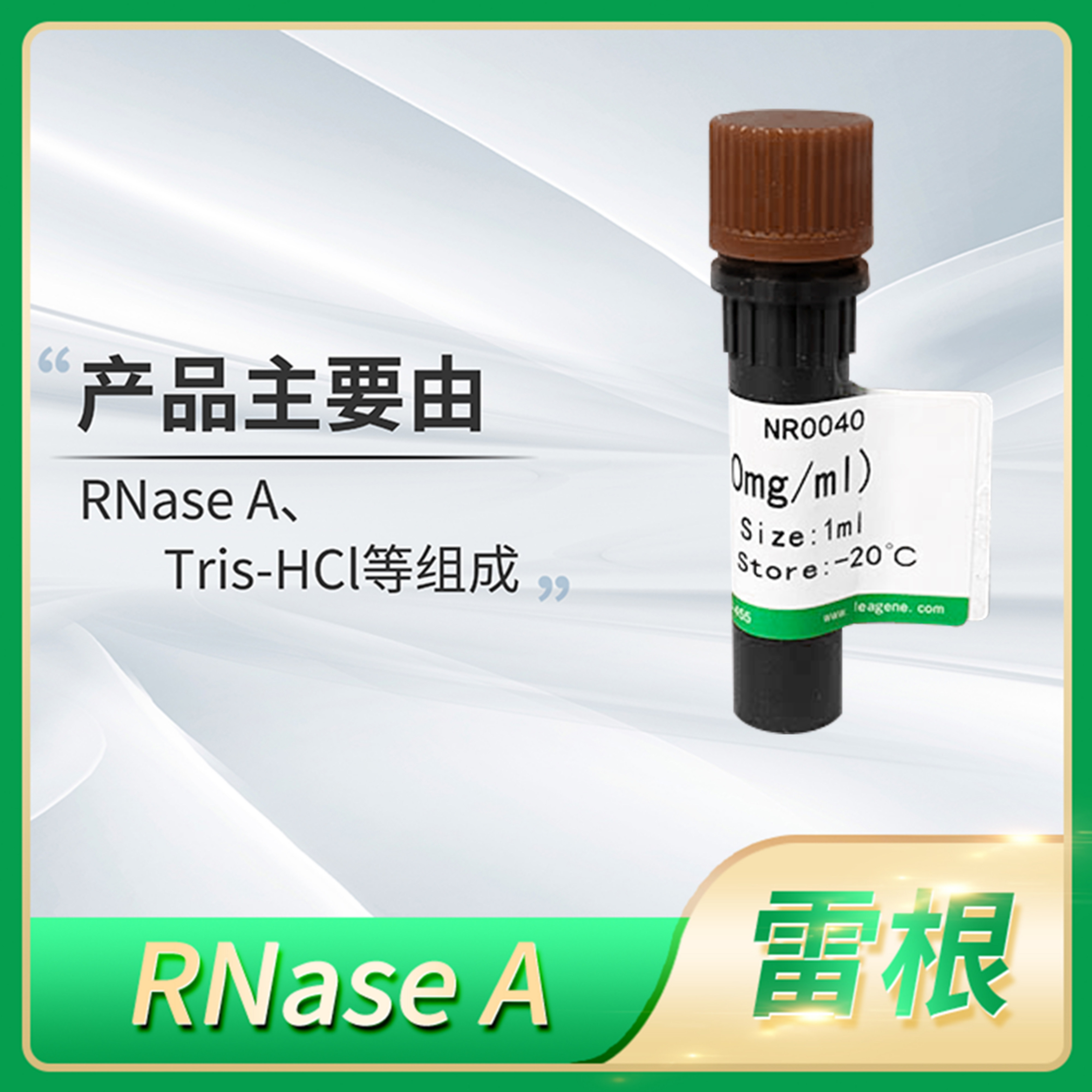 Leagene雷根RNase A(100mg/ml) Ribonuclease A核糖核酸酶A溶液
