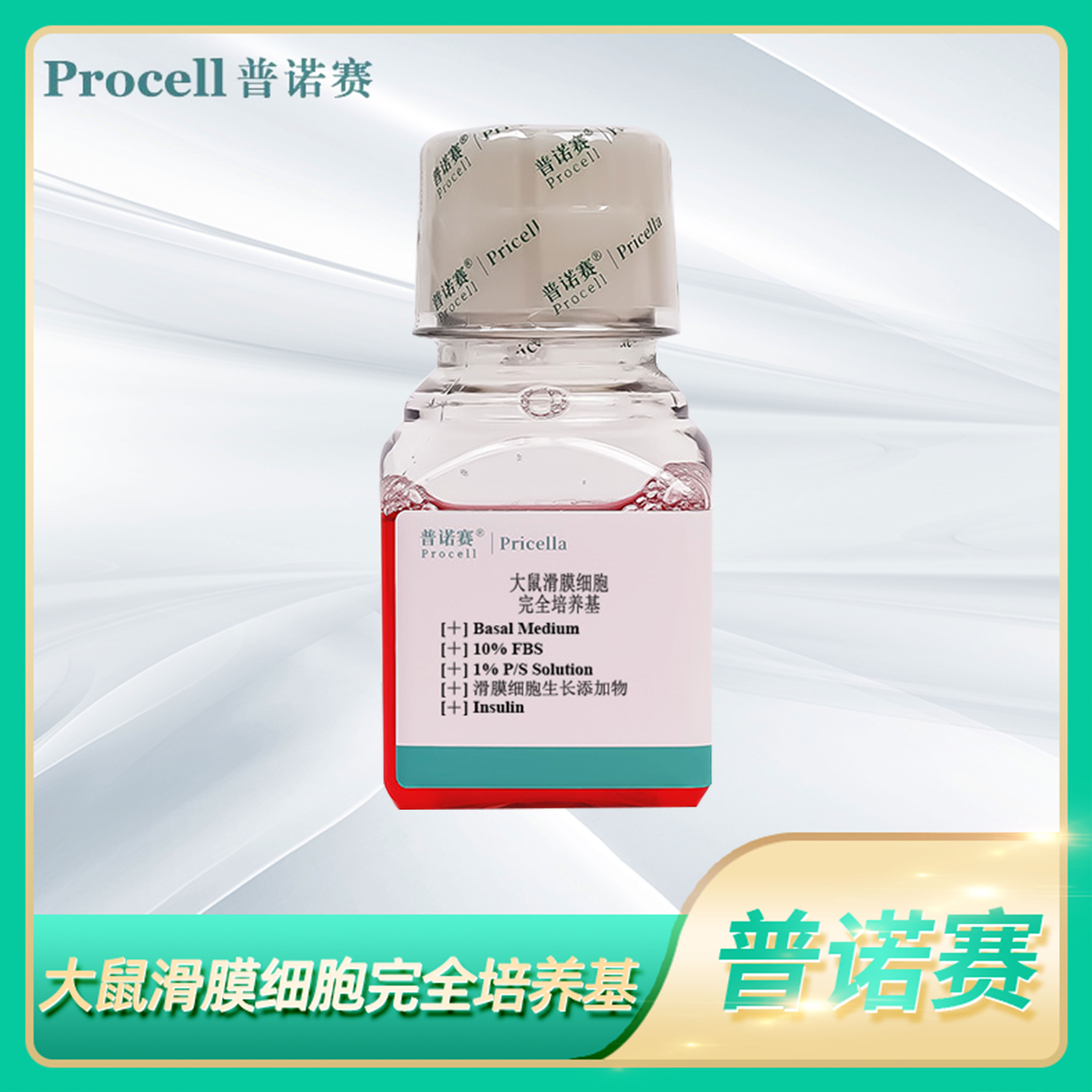 普诺赛滑膜细胞生长添加物Basal Medium大鼠滑膜细胞完全培养基