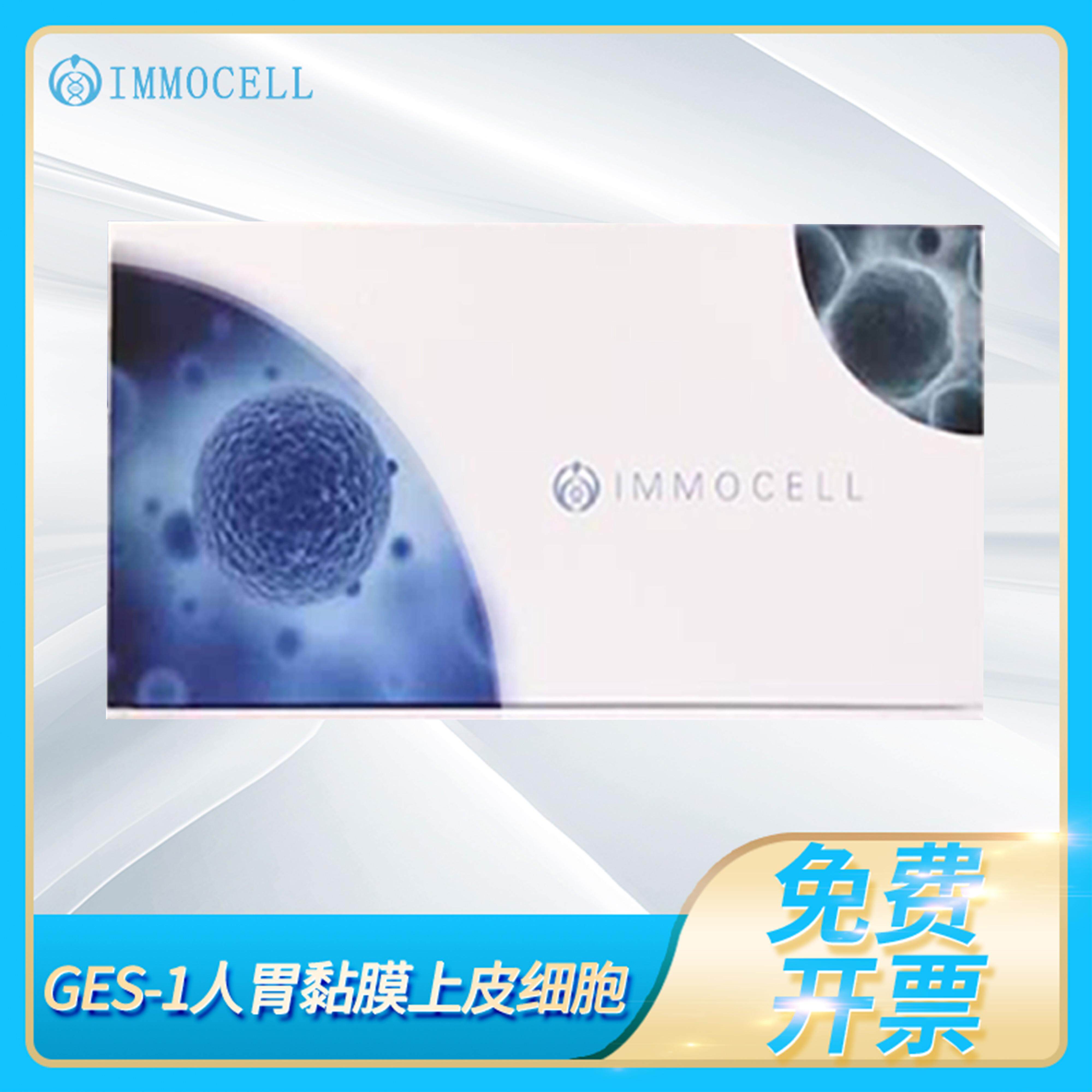 逸漠GES-1人胃黏膜上皮细胞(STR鉴定正确)人胃粘膜细胞培养基