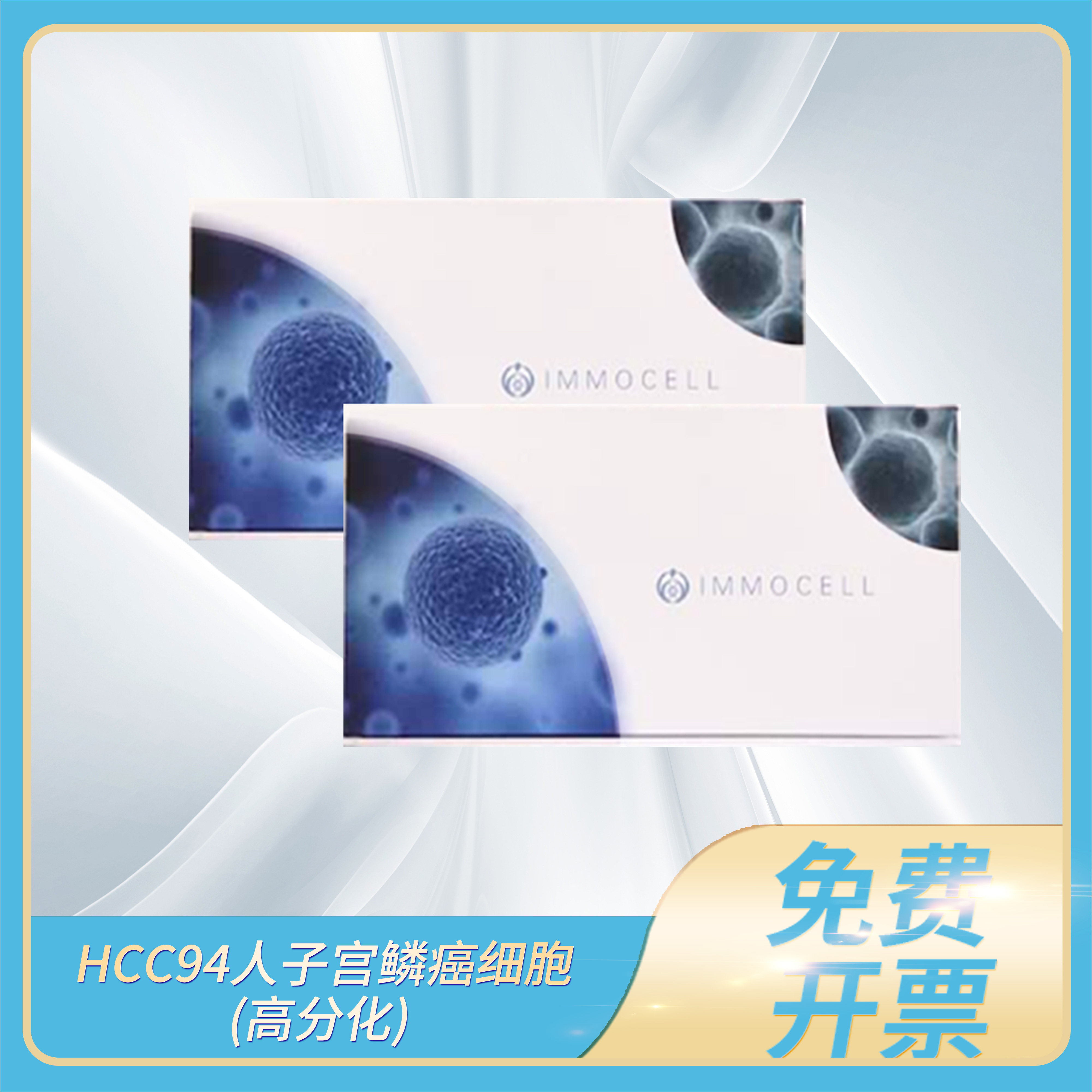 IMMOCELL逸漠HCC94人子宫鳞癌细胞高分化(STR鉴定正确)宫颈细胞株