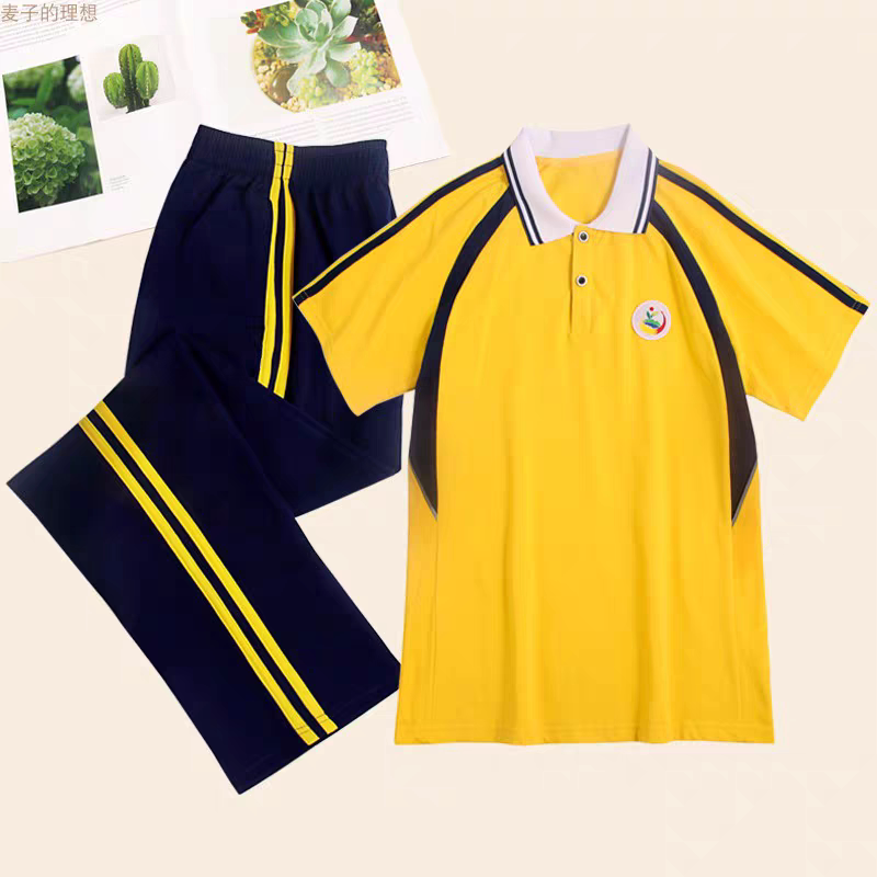 Huizhou School Uniforms, Huicheng District Public School Students' Uniforms, Men's and Women's Sports Suits, Summer Junior High School Short-Sleeved Shorts and Long Pants