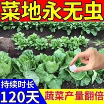 Home gardening insect-proof sheet anti-small black fly aphid whitefly small diamondback moth flying insect household flower potted green plant