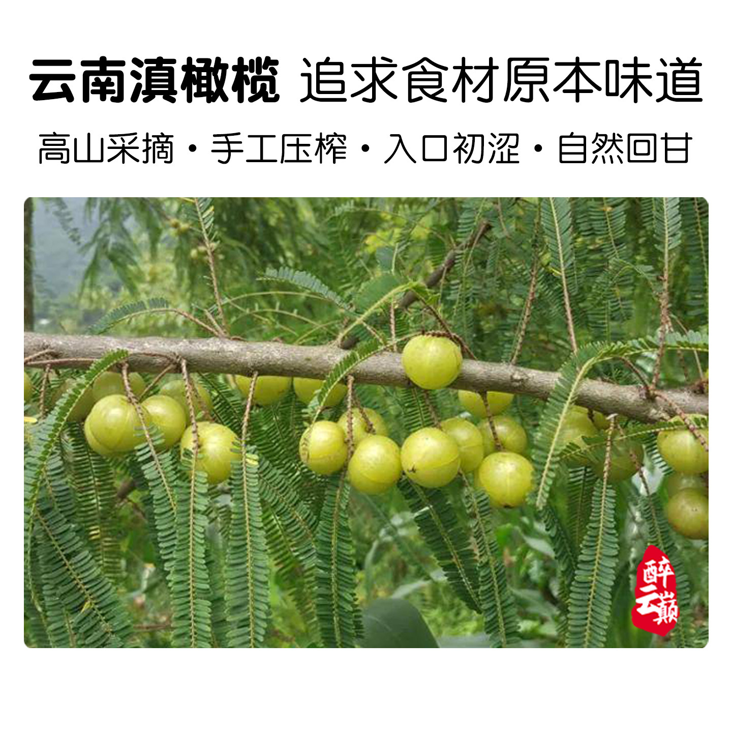云南大理野生滇橄榄汁饮料余甘子和巍山厚生号蜂蜜无糖特产小吃瓶有什么特别之处?-橄榄-淘宝好物网