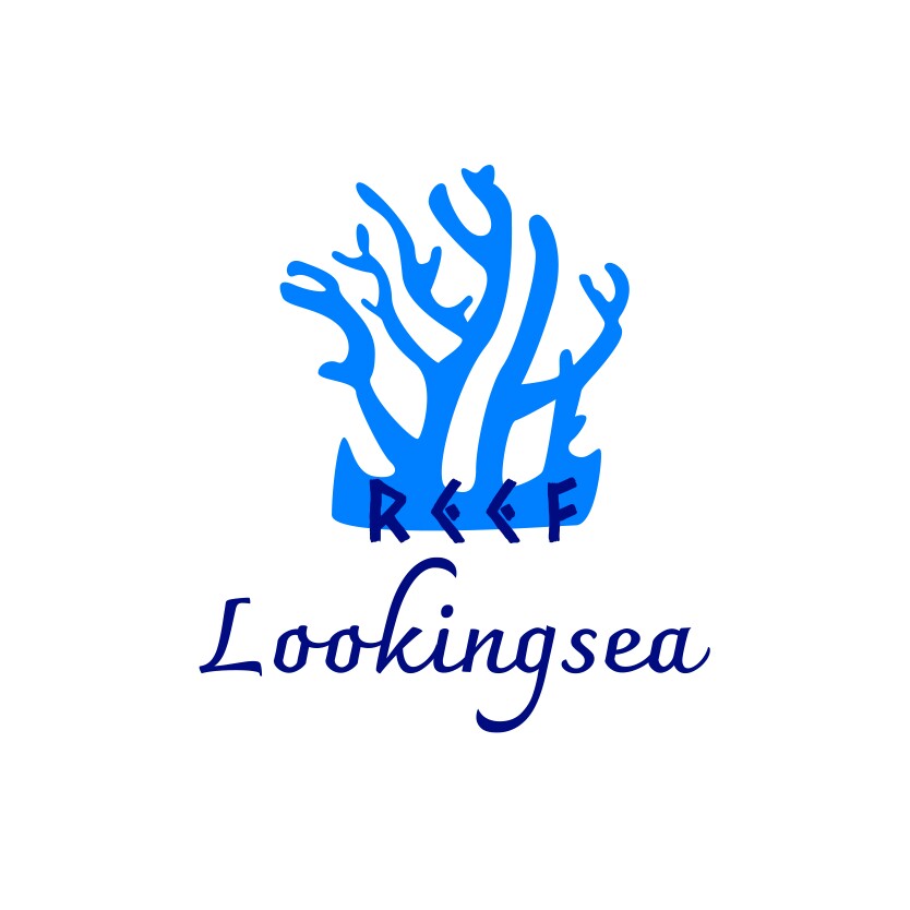 LookingSea仰望大海的LOGO
