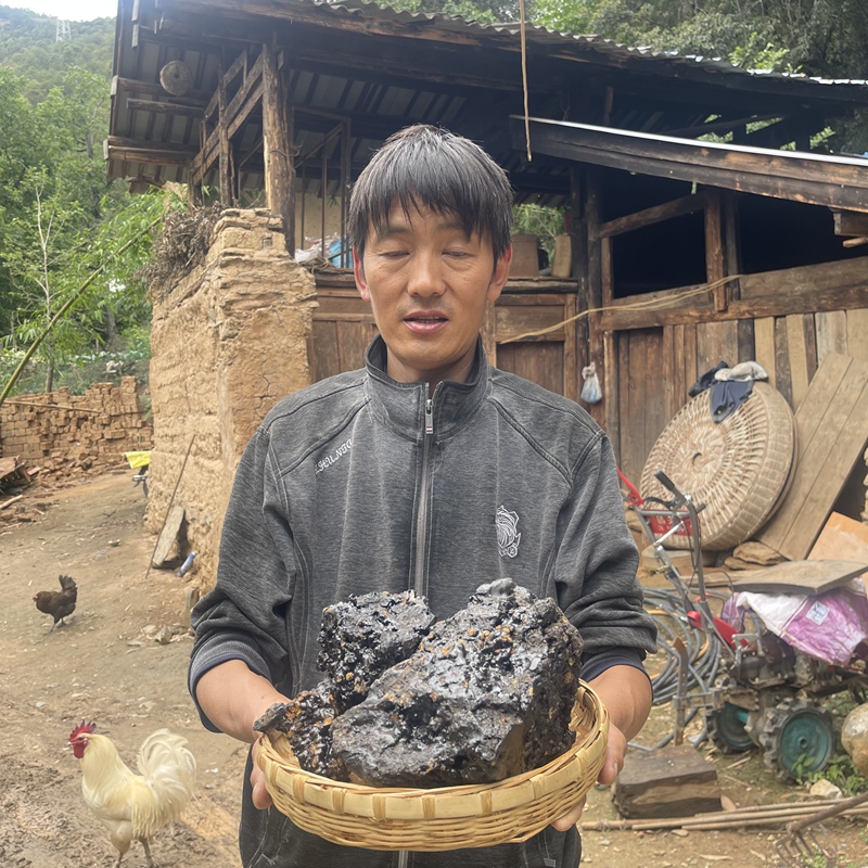 The Wild Monkey Knot from the Jinsha River in Lijiang, Yunnan, Was Personally Picked by a Liang from a Steep Cliff