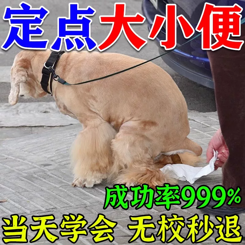 狗狗定点排便神器训练宠物小狗上厕所诱导剂防止狗狗乱拉屎大小便